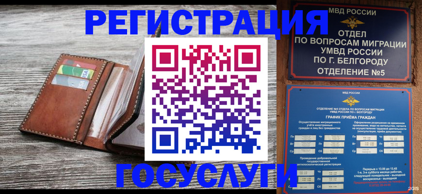 временная регистрация гарантия в Могочи